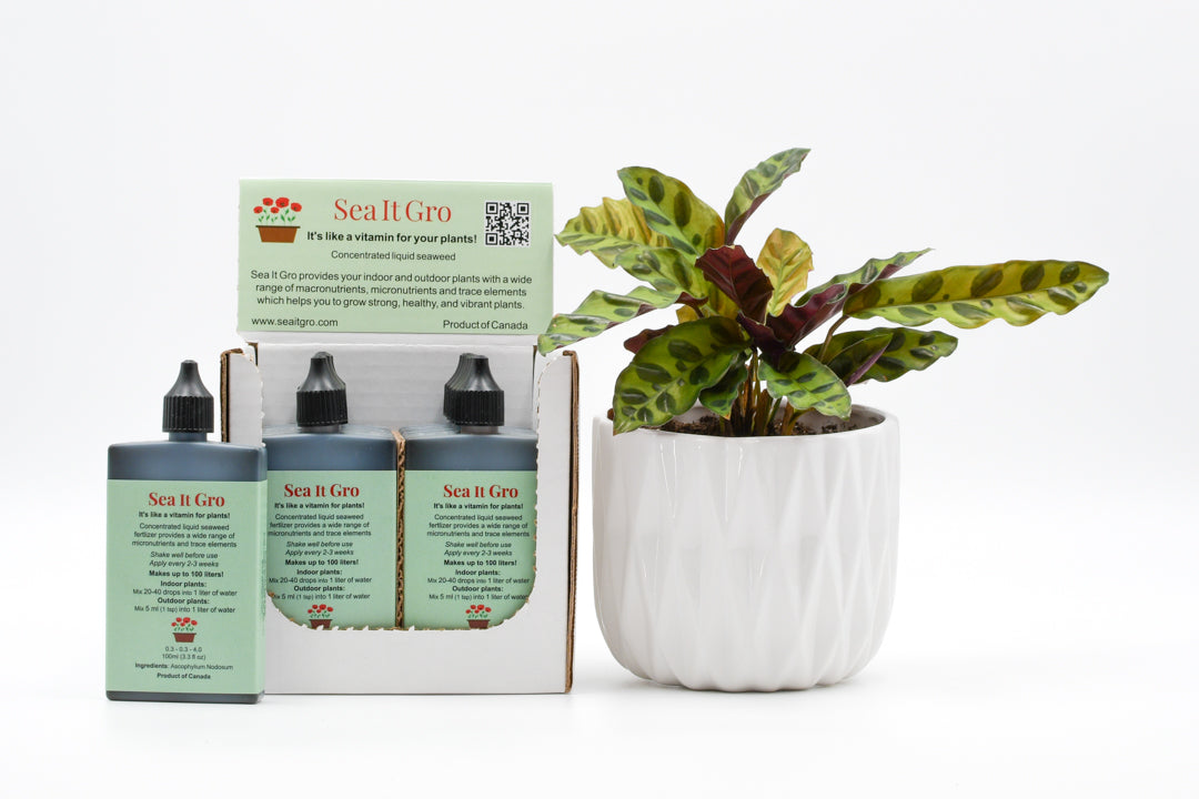 Sea It Gro Liquid Seaweed Plant Fertilizer