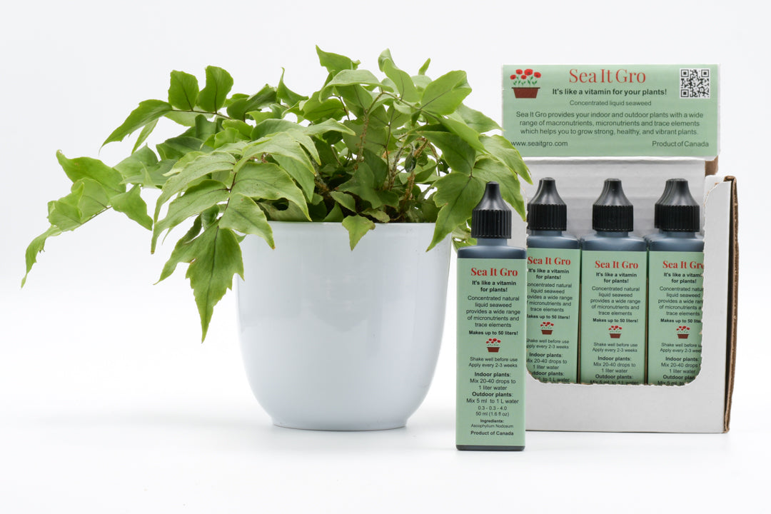 Sea It Gro Liquid Seaweed Plant Fertilizer